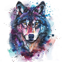 Animal Integration-DW 847